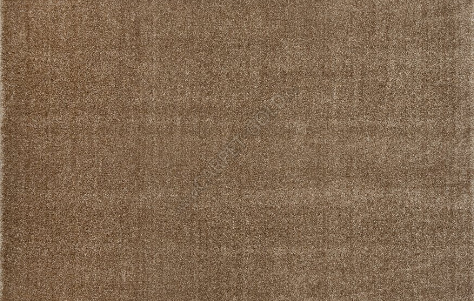 Однотонный бежевый ковер T600 - BEIGE - Прямоугольник - коллекция SOFIA